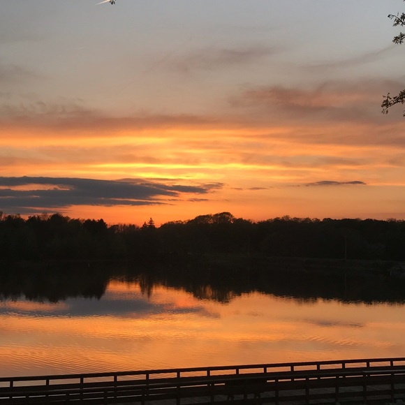 Meet your Posher, Abby - Picture 1 of 1